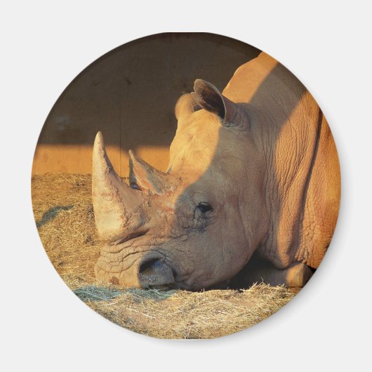 Rhino in Sunset Magnet (Vorne)
