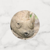 Rhino Konfetti (Klein Vorderseite)