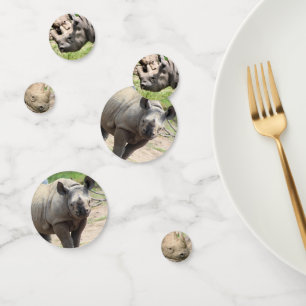 Rhino Konfetti