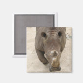 Rhino Magnet (Vorderseite/Rückseite)