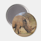 Rhino Magnet (Vorderseite/Rückseite)