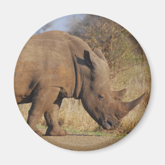 Rhino Magnet (Vorne)