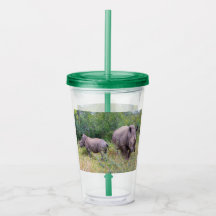Rhino Mama und Baby tumbler