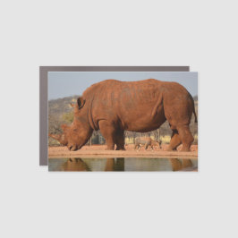 Rhino mit Schlamm auf dem Foto Auto Magnet