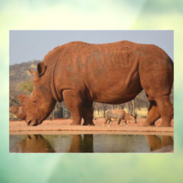Rhino mit Schlamm auf dem Foto Fensteraufkleber