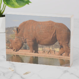 Rhino mit Schlamm auf dem Foto Holzkisten Schild