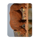 Rhino mit Schlamm auf dem Foto Magnet (Vertikal)