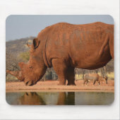 Rhino mit Schlamm auf dem Foto Mousepad (Vorne)