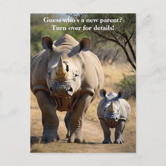 Rhino Mutter mit Kalb Postkarte (Vorderseite)