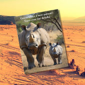 Rhino Mutter mit Kalb Postkarte