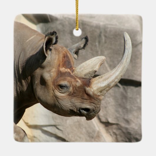 Rhino Ornament (Rückseite)