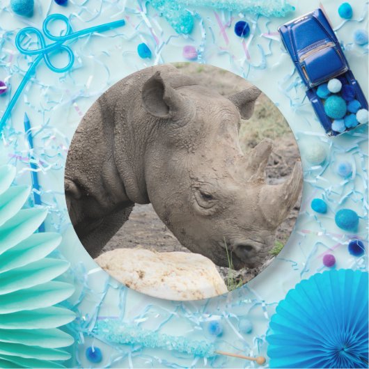 Rhino Pappteller (Party)