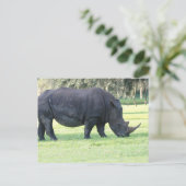 Rhino Postcard Postkarte (Stehend Vorderseite)