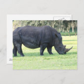 Rhino Postcard Postkarte (Vorne/Hinten)