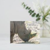 Rhino Postcard Postkarte (Stehend Vorderseite)