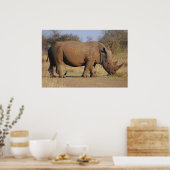Rhino Poster (Küche)