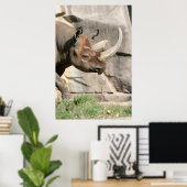 Rhino Poster (Heimbüro)