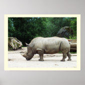 Rhino Poster (Vorne)