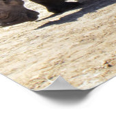 Rhino Poster (Ecke)
