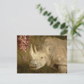 Rhino Postkarte (Stehend Vorderseite)