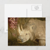 Rhino Postkarte (Vorne/Hinten)