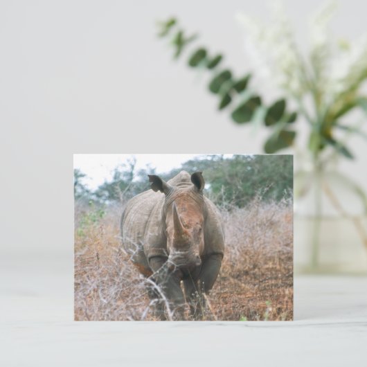 Rhino Postkarte (Stehend Vorderseite)