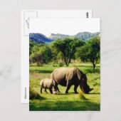 Rhino Postkarte (Vorne/Hinten)