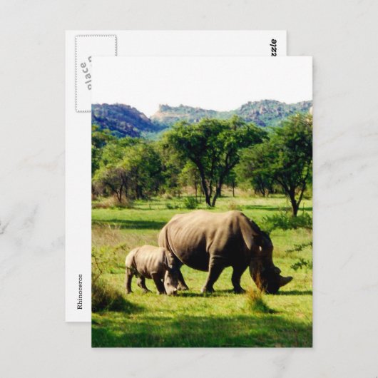 Rhino Postkarte (Vorne/Hinten)