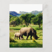 Rhino Postkarte (Vorderseite)