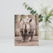 Rhino Postkarte (Stehend Vorderseite)