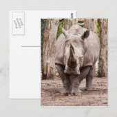 Rhino Postkarte (Vorne/Hinten)