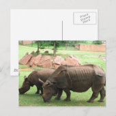 Rhino Postkarte (Vorne/Hinten)