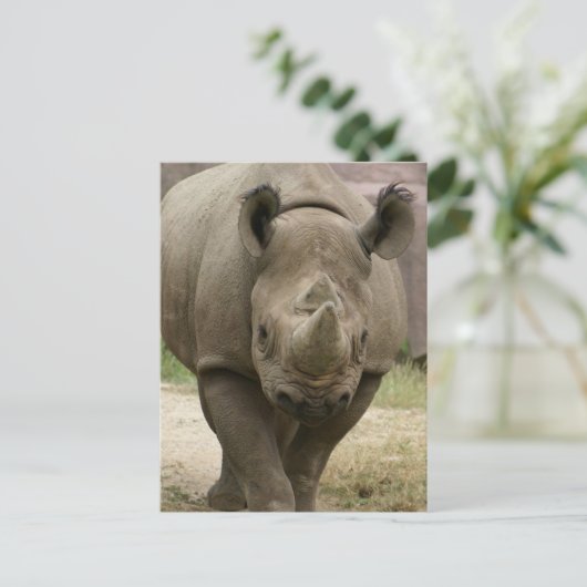Rhino Postkarte (Stehend Vorderseite)