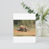 Rhino Postkarte (Stehend Vorderseite)