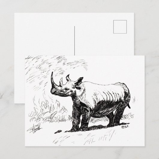 RHINO POSTKARTE (Vorne/Hinten)