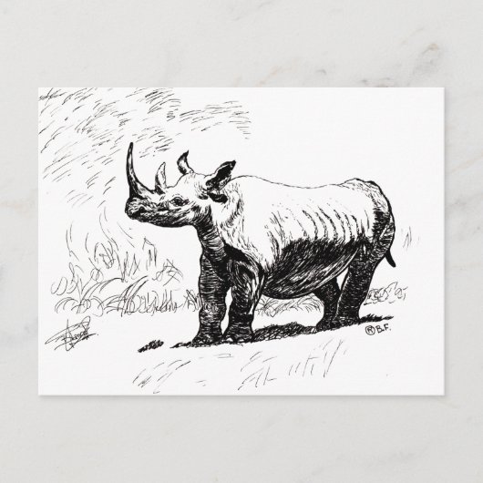 RHINO POSTKARTE (Vorderseite)
