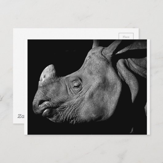 Rhino Postkarte (Vorne/Hinten)
