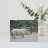 Rhino Postkarte (Stehend Vorderseite)