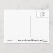 Rhino Postkarte (Rückseite)