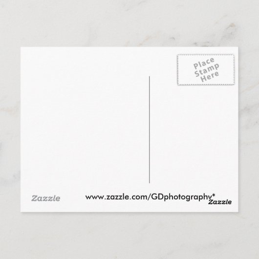 Rhino Postkarte (Rückseite)