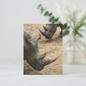 Rhino Postkarte (Stehend Vorderseite)