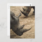 Rhino Postkarte (Vorne/Hinten)