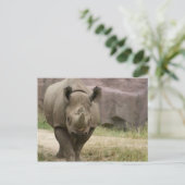 Rhino Postkarte (Stehend Vorderseite)