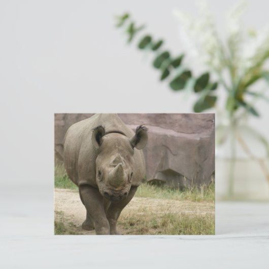 Rhino Postkarte (Stehend Vorderseite)