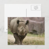 Rhino Postkarte (Vorne/Hinten)
