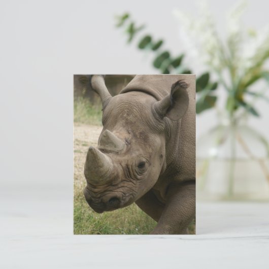 Rhino Postkarte (Stehend Vorderseite)