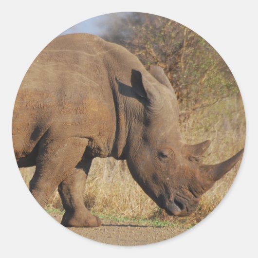 Rhino Runder Aufkleber (Vorderseite)