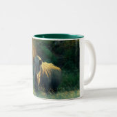 Rhino Starekaffee-Tassen u. -schalen Zweifarbige Tasse (VorderseiteRechts)