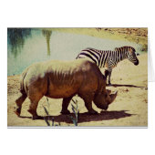 Rhino und Zebra (Vorderseite (Horizontal))