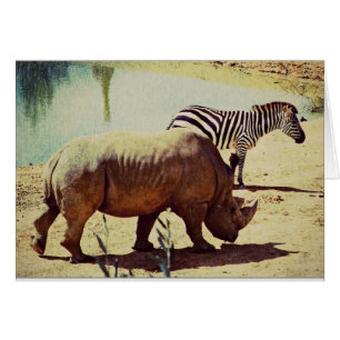 Rhino und Zebra